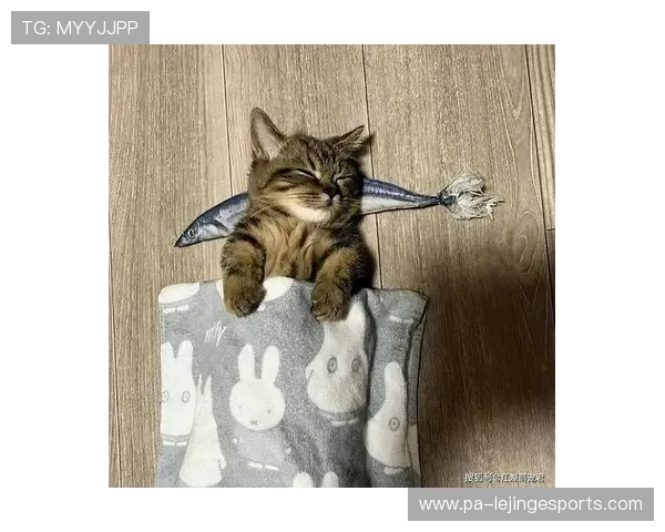 足球场上的搞笑球星：那些令人捧腹的奇葩时刻与经典梗故事